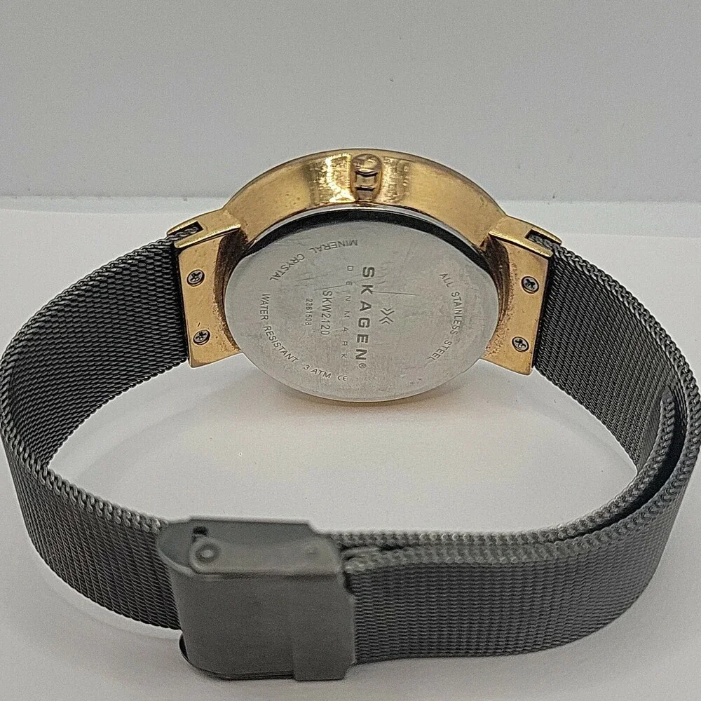 Skagen SKW2120 Women's Stainless Steel Mesh Analog Dial Quartz Wrist Watch AM613